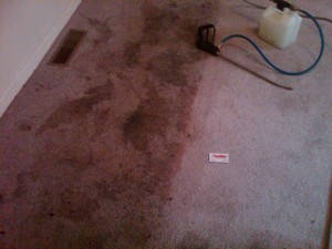 West Hills carpet cleaners